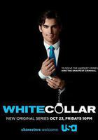 妙警賊探 第一季 線上看