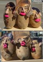 流言終結者 第七季 線上看