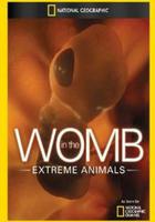 子宮日記：極端動物 線上看