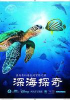 深海探奇 線上看