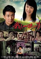 我是一棵小草 線上看