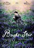 明亮的星 線上看