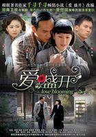 愛盛開 線上看