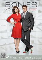 識骨尋蹤 第六季 線上看