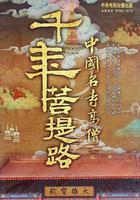 千年菩提路 線上看