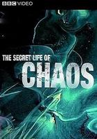 神祕的混沌理論 / The Secret Life of Chaos 線上看