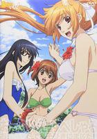 玩伴貓耳娘！ OVA 線上看