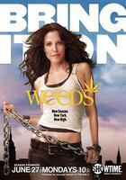 單身毒媽 第七季 線上看