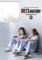 實習醫生格蕾 第八季 線上看