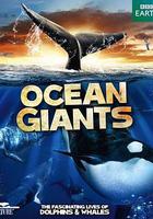 海洋巨獸 線上看