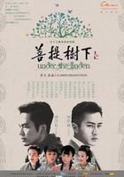 菩提樹下 線上看