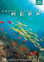 大堡礁 / Great Barrier Reef 線上看
