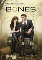 識骨尋蹤 第八季 線上看