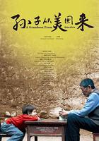 孫子從美國來 線上看