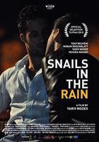 雨中的蝸牛 線上看