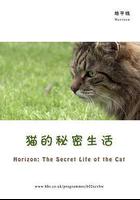 BBC地平線：貓的祕密生活 / Horizon: The Secret Life of the Cat 線上看