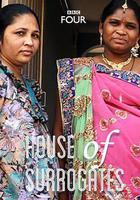 代孕者 / House of Surrogates 線上看
