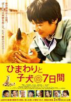 向日葵與幼犬的7天 線上看