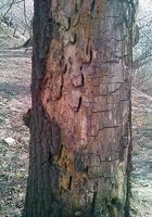 刑事調查大揭祕 第二季 線上看