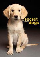 狗的祕密生活 / Secret Life of Dogs 線上看