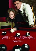 識骨尋蹤 第十季 線上看