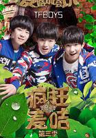 瘋狂的麥咭 第三季 線上看