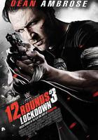 12回合3：致命禁閉 線上看