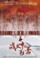 戰火中的芭蕾 線上看