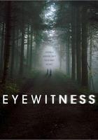 目擊證人 線上看
