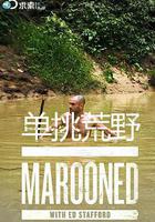 單挑荒野 第三季 線上看