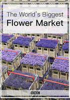 世界上最大的鮮花市場 / The World's Biggest Flower Market 線上看