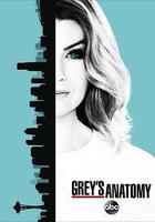 實習醫生格蕾 第十三季 / Grey's Anatomy Season 13 線上看
