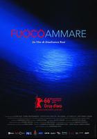 海上火焰 / Fuocoammare 線上看