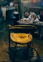 祕密金魚 線上看