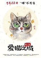 愛貓之城 / Kedi 線上看