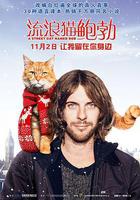 流浪貓鮑勃 線上看