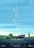 燦爛這一刻 線上看