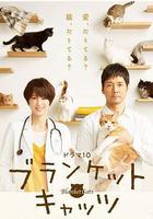 毛毯貓 / ブランケット・キャッツ 線上看