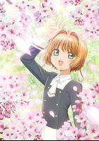 魔卡少女櫻 透明牌篇 序章 小櫻與兩隻小熊 線上看