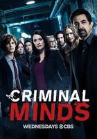 犯罪心理 第十三季 線上看