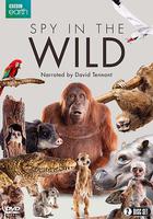 荒野間諜 第一季 線上看