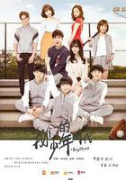 我們的少年時代 線上看