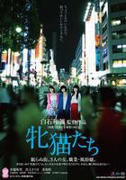雌貓們 / 牝貓たち 線上看