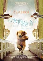 一條狗的使命 線上看