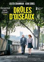 怪趣羣鳥 線上看