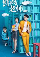 鮮肉老師 線上看