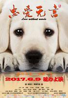 忠愛無言 線上看