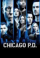 芝加哥警署 第六季 / Chicago P.D. Season 6 線上看