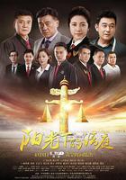 陽光下的法庭 線上看