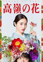 高嶺之花 線上看